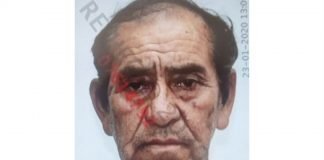 Luis Guzmán Palomino