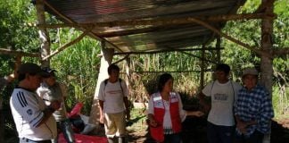 Asistencia técnica contribuye al crecimiento de cooperativa conformada por 50 productores.