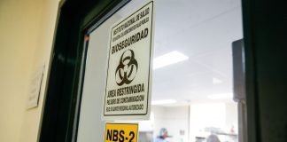 Coronavirus en Perú / Foto: Andina