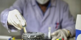 Coronavirus en Perú / Foto: Andina