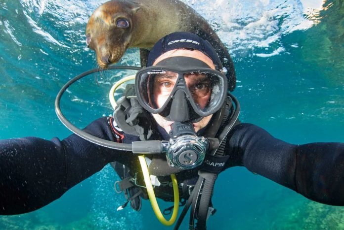 Octavio Aburto Octavio Aburto