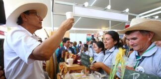 Coronavirus en Perú