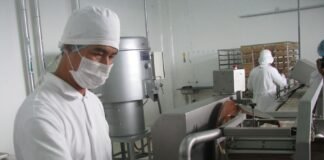 Actividades económicas / Foto: Andina