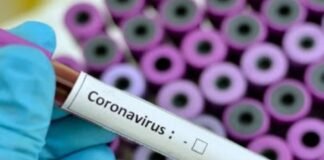 Coronavirus en Perú / Foto: Andina