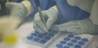 Foto: Andina / Se destinarán hasta S/ 350 mil por proyecto, por un total de S/ 5.5 millones, y se tomarán en cuenta recientes descubrimientos sobre nuevo coronavirus.