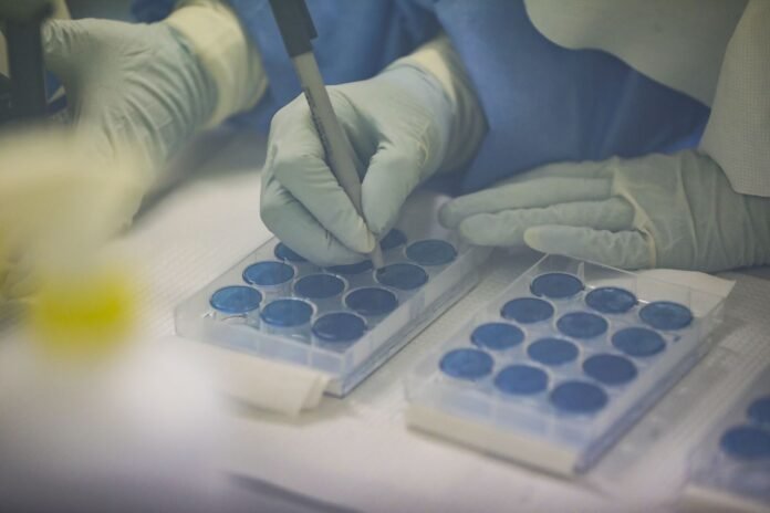 Foto: Andina / Se destinarán hasta S/ 350 mil por proyecto, por un total de S/ 5.5 millones, y se tomarán en cuenta recientes descubrimientos sobre nuevo coronavirus.