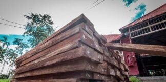 Ucayali: Madera obtenida de la tala ilegal será utilizada por el CITEforestal Pucallpa en la fabricación de féretros