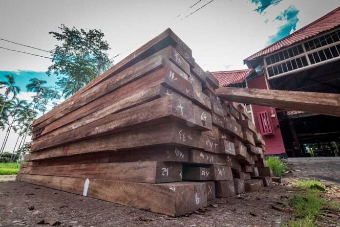 Ucayali: Madera obtenida de la tala ilegal será utilizada por el CITEforestal Pucallpa en la fabricación de féretros Ucayali: Madera obtenida de la tala ilegal será utilizada por el CITEforestal Pucallpa en la fabricación de féretros