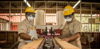 A la fecha, se han realizado más de 80 talleres en los sectores agroindustrial, cuero y calzado, forestal-madera, textil, pesca- acuícola, entre otros.