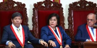 Tribunal Constitucional