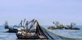 Barco pesquero / Foto: andina
