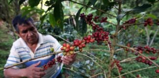 En beneficio de más de 2.4 millones de personas-socios y como impulso al sector frente al covid-19.