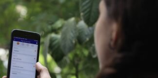 Pagos digitales / Foto: Andina