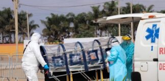 Coronavirus en Perú / Foto: Andina