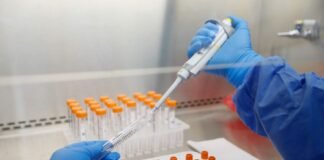 Coronavirus en Perú / Foto: Andina