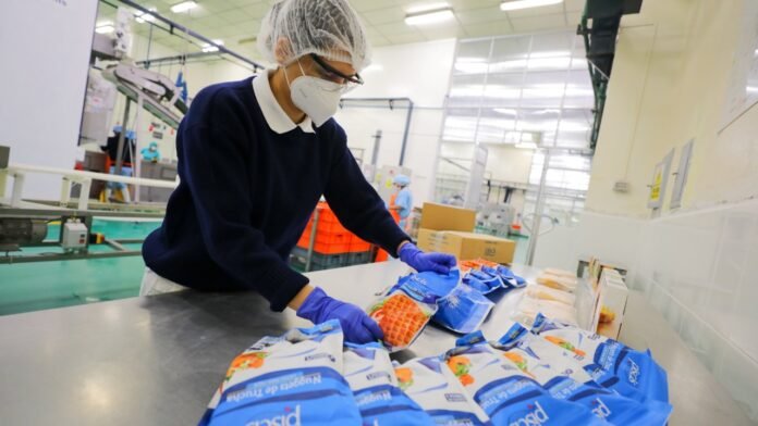 Sedes se ubicarán en Junín, Huancavelica, Lambayeque y Cajamarca, sumando un total de 50 CITE a nivel nacional.