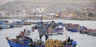 Formalización de embarcaciones pesqueras