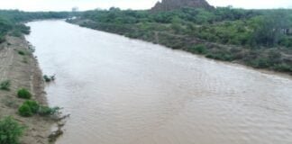 Día Mundial de los Ríos