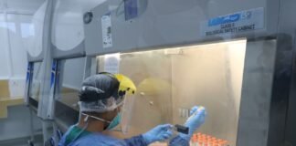 Coronavirus en Perú / Foto: Andina