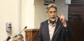 Congresista Francisco Sagasti.