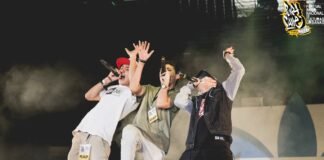 Festival Pura Calle 2020