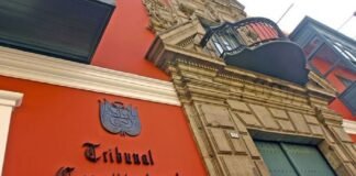 Tribunal Constitucional