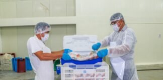 Reinicio de actividades del sector pesca y acuicultura.