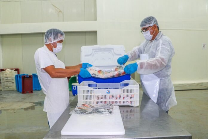 Reinicio de actividades del sector pesca y acuicultura. Reinicio de actividades del sector pesca y acuicultura.