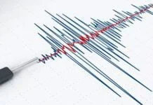 Temblor de magnitud 4.0 sacudió HOY Pozuzo, Oxapampa: ¿dónde fue el epicentro y a qué profundidad? Sismo en Chile.