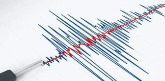 Temblor de magnitud 4.0 sacudió HOY Pozuzo, Oxapampa: ¿dónde fue el epicentro y a qué profundidad? Sismo en Chile.