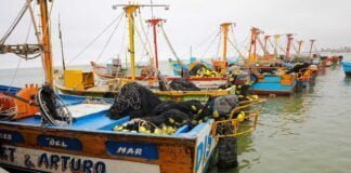 Sector pesquero peruano.