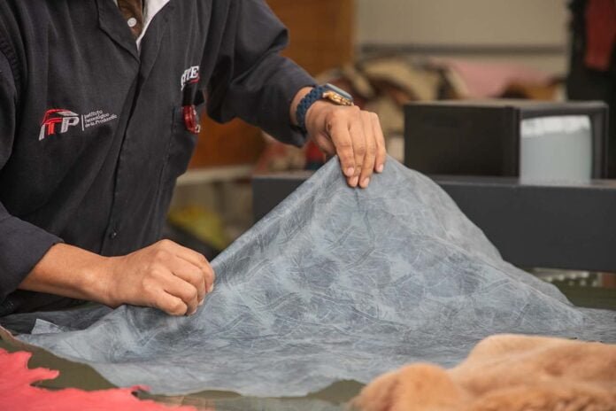 “PRIMERA EXHIBICIÓN VIRTUAL DE CUERO”