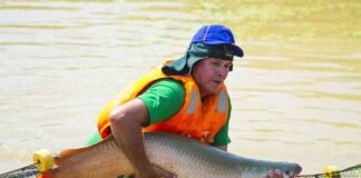 Pesca de paiche en la Amazonía.