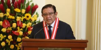Presidente del Jurado Nacional de Elecciones (JNE), magíster Jorge Luis Salas Arenas.