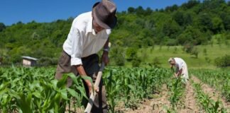 Derogan ley de promoción agraria