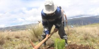 Ley agraria / Foto: Andina