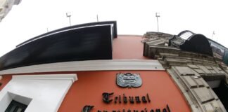 Tribunal Constitucional