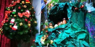 Navidad 2020 en Perú / Foto: DSN