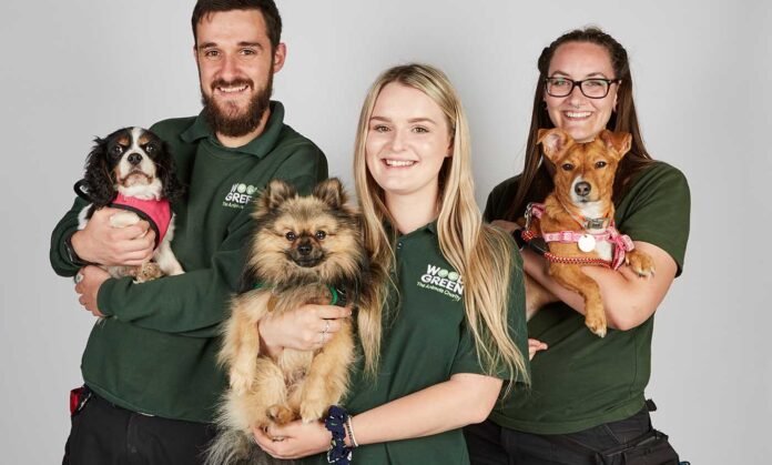 National Geographic promueve la adopción de mascotas con el especial “Adopta, no compres”.