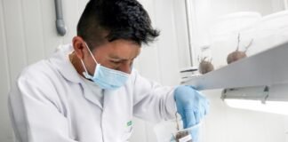 Acciones durante el 2020 estuvieron a cargo del CITEagroindustrial Ica.