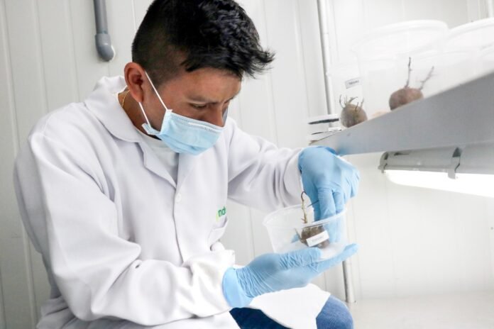 Acciones durante el 2020 estuvieron a cargo del CITEagroindustrial Ica.