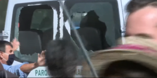 Alberto Fernández - Captura Youtube: C5N