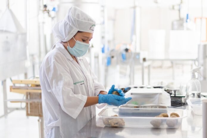 Hamburguesas contra COVID-19