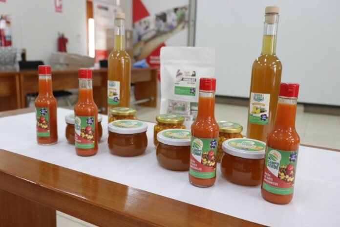 Asociación agraria cuenta con el soporte del CITEroductivo Maynas