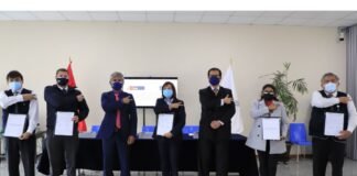 SIS - Diris / COVID-19