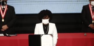 Seis de ellos tienen menos de 30 años. Rosangella Barbarán, del partido Fuerza Popular, es la parlamentaria más joven con 26 años