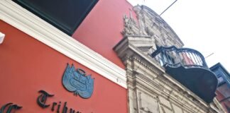 Tribunal Constitucional