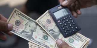 Dólar / Foto: Andina