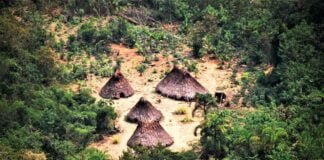 Reserva Indígena Yavarí Tapiche