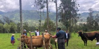 Propuesta busca impulsar el desarrollo de tecnologías que permitan mejorar la calidad en carne y leche de ganado.